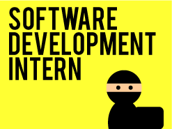 softwareintern